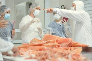 Participação feminina avança na fiscalização agropecuária