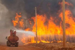 Estado proíbe uso do fogo para manejo de áreas rurais