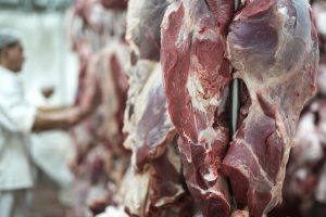 Exportações de carnes somam mais de R$ 17 bilhões