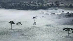 Em pleno verão, Sul registra a 1ª geada do ano