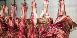 China suspende compra de carne de três frigoríficos do Brasil