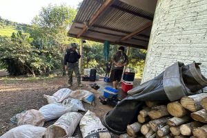 Órgão aplica R$ 12,7 milhões em multas por crimes ambientais