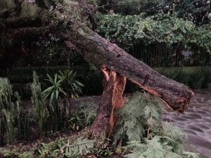 Ventos de mais de 100 km/h causam susto e destruição