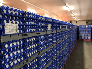 Gripe aviária impacta nos EUA no mercado de ovos no Brasil