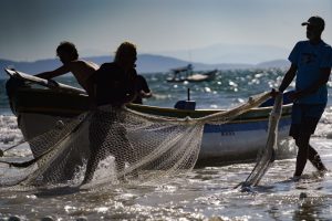 Governador vai ao STF para reverter cotas para a pesca da tainha