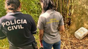 Agricultor é suspeito de manipular insumos e contrabandear produto estrangeiro