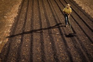 CNA inicia levantamento de custos de produção no país