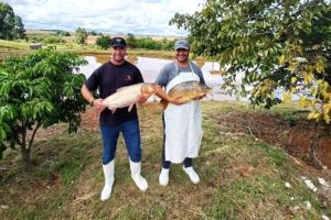 A Páscoa é a safra dos produtores de peixes