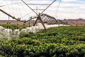 Valorização do café impulsiona expansão da irrigação no Brasil