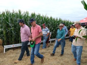 Dia de Campo de Inverno da C.Vale reúne produtores de milho