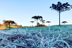 Serviço de Alerta Geada inicia na segunda-feira