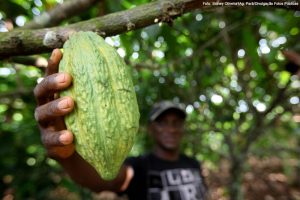 Páscoa está aí, mas indústria de chocolate enfrenta crise histórica