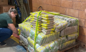 32 toneladas de arroz e feijão com irregularidades são apreendidas
