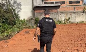 Homem desmatava Mata Atlântica para vender terrenos