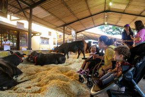 Tecnologia e inovação transformando o futuro do agro