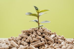 Bioinsumos impulsionam produtividade e economia