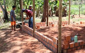 Itaipu adota ações sanitárias para galinheiros comunitários