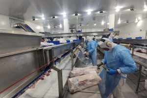 Supermercado do mundo: Estado exporta mais alimentos que alguns países