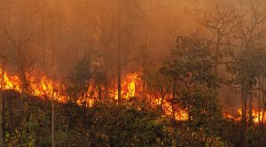 FAEP capacita novos instrutores para combate a incêndios