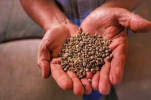 Estado vendeu US$ 14,2 bilhões em alimentos e bebidas para 176 países em 2024