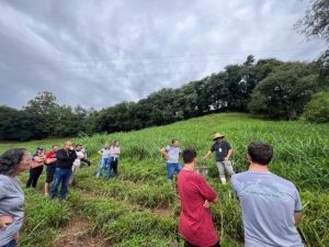Produção de leite sustentável com foco no pasto ganha força