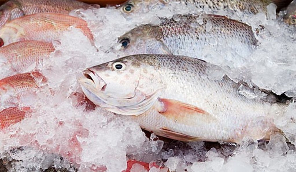 peixes