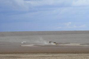 Estado deverá produzir 14,6 milhões de toneladas de soja