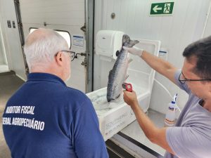 Anffa dá dicas sobre escolha de pescados na Semana Santa