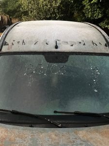 Geada intensa derruba temperaturas abaixo de zero