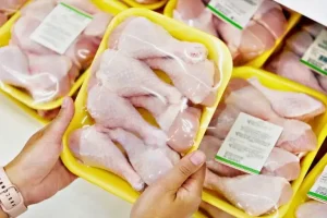 Queda de preço do frango pode aliviar um pouco inflação