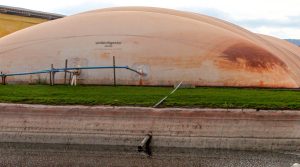 Isenção de ICMS impulsiona energias renováveis no campo