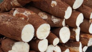 Mandioca é o produto mais comercializado na Ceasa