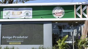 Presidente interino do Sistema FAEP prestigia abertura da Expoingá