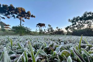 Vai gelar! Vem aí o temido frio de 0ºC!