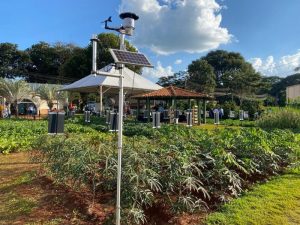 Dados agrometereológicos de graça para produtores