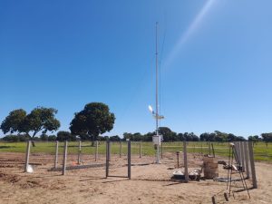 Primeira estação meteorológica do Pantanal começa a transmitir dados