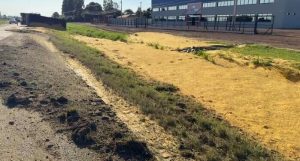 Carga de farelo de soja fica espalhada em pista após caminhão tombar