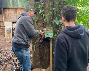Abelhas sem ferrão: Alunos buscam qualificação no manejo