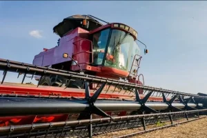 Plano Safra com juros altos? Produtores procuram alternativas