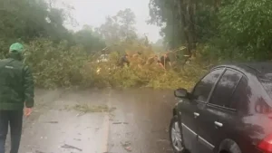 Vendaval causa estragos no RS e segue risco de tempestades
