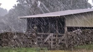 E a neve caiu pela primeira vez este ano no Brasil