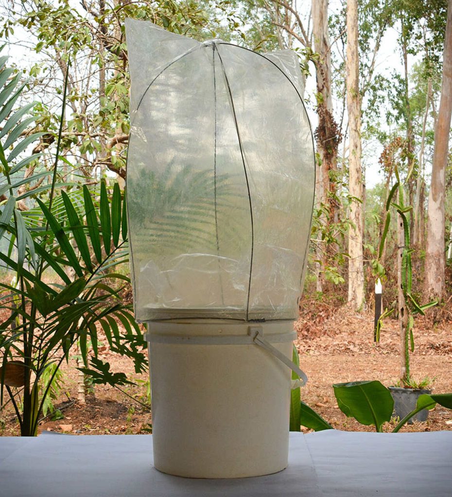 miniestufa balde