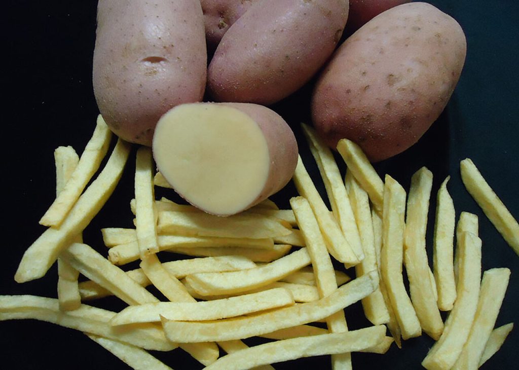 BATATA