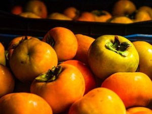 Supersafra de caqui coloca frutos de qualidade no mercado