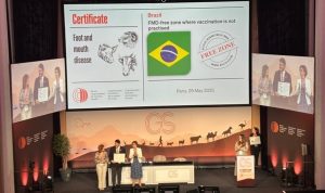 CNA: Brasil livre de aftosa sem vacinação é uma conquista histórica