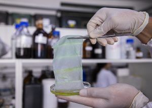 Embalagem muda de cor para avisar que o peixe estragou
