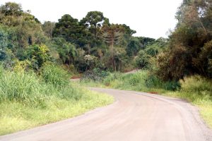 Comunidade rural recebe pavimentação após 20 anos de reinvindicação