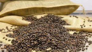 Infraestrutura portuária nacional emperra exportações de café