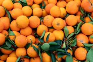 Safra de laranja projeta colheita de 314,6 milhões de caixas