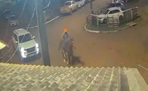 Homem furta cavalo de R$ 150 mil em Exposição